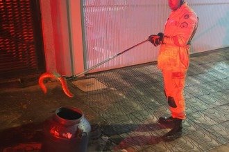 Em situações semelhantes, a orientação é acionar o Corpo de Bombeiros pelo telefone 193
 -  (crédito: Reprodução/CBMMG)