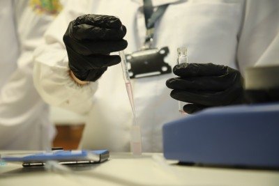 Novo edital da Fapemig visa apoiar pesquisas, tecnologias e inovações que contribuam para a sustentabilidade -  (crédito: Sede-MG)