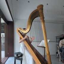 Um instrumento clássico que nunca sai de moda: a fascinante jornada da harpa - Syced  wikimedia commons 