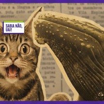 Em época de carne cara, BH optou por baleia e gato - Arte EM