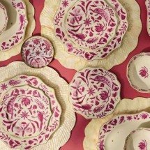 Índia e brasil em Conexão - Divulgação