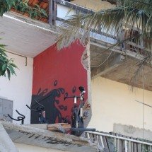 Desabamento de asilo: cachorros de dono estão disponíveis para adoção - Alexandre Guzanshe/EM/D.A Press 