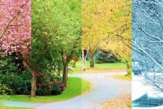 O segredo das estações do ano não é a distância do Sol; entenda