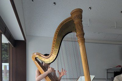 A harpa é um dos instrumentos mais antigos e fascinantes da história da música, associada tanto à tradição clássica quanto ao imaginário mitológico. Com sonoridade delicada e visual imponente, atravessou séculos e culturas, tornando-se símbolo de arte. Explorar a origem da harpa, evolução e usos é compreender como ela se consolidou como ícone musical universal. -  (crédito: Syced  wikimedia commons )