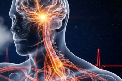 Mesmo prevenível e tratável, estima-se que 1,4 bilhão de pessoas tenham hipertensão; somente uma em cada cinco consegue controlar a condição com medicamentos ou por meio de ações sobre fatores de risco  -  (crédito: Ilustração: Davi José de Almeida Moraes et al.)