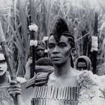 Brasil, 1964. Fim.  - Reprodução 