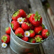 Versátil e saboroso, morango requer atenção; saiba o porquê - Imagem de congerdesign por Pixabay

