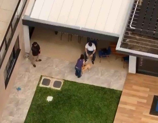 Drone flagrou Bolsonaro e Michelle em momento de descontração. Invasão de privacidade e ameaça à segurança -  (crédito: Reprodução de vídeo/Rede Globo)