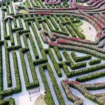 Maior jardim-labirinto do mundo pede passagem: os desafios do Dream Maze -  Reprodução do X @CGTNOfficial