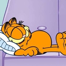 Garfield: humor ácido e fama mundial em tirinhas inesquecíveis - Divulgação