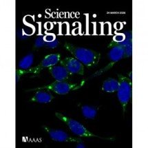 Estudo do CNPEM avança na compreensão de transtorno do neurodesenvolvimento