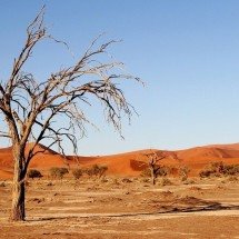 Os encantos ímpares do Sossusvlei, a paisagem mais famosa da Namíbia - Imagem de Tobi por Pixabay