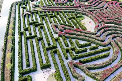 O Yancheng Dafeng Dream Maze é um dos destinos mais impressionantes da China, pois combina natureza, lazer e arquitetura paisagística em uma escala monumental. Reconhecido como o maior jardim-labirinto do mundo, ele desperta curiosidade e fascínio, convidando visitantes a se perderem em seus caminhos verdes e a descobrirem novas perspectivas. -  (crédito:  Reprodução do X @CGTNOfficial)