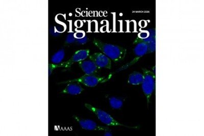 Estudo é destaque de capa da revista Science Signaling -  (crédito:  Reprodução)