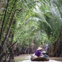 Antigo campo de batalha, Delta do Mekong virou atração turística no Vietnã - Peyman Zehtab Fard/Wikimedia Commons