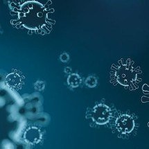 Não confunda! Vírus e bactérias têm estruturas e comportamentos distintos na natureza; entenda - Lela Maffie/Pixabay