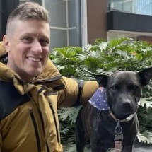 Australiano recorre à IA para encontrar vacina que salve sua cadela do câncer - Reproduççao/Instagram