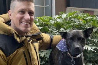 Australiano recorre à IA para encontrar vacina que salve sua cadela do câncer