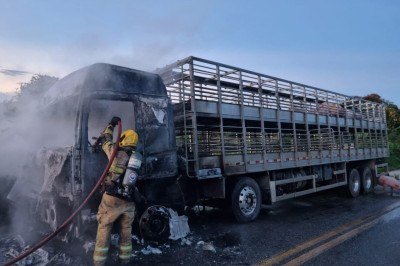 O veículo teve perda total -  (crédito: Corpo de Bombeiros Militar de Minas Gerais/Divulgação)