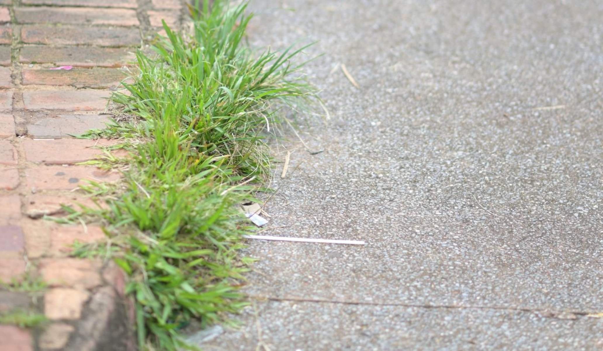 Pista de cooper necessita ser concertada e mato alto precisa ser jardinado