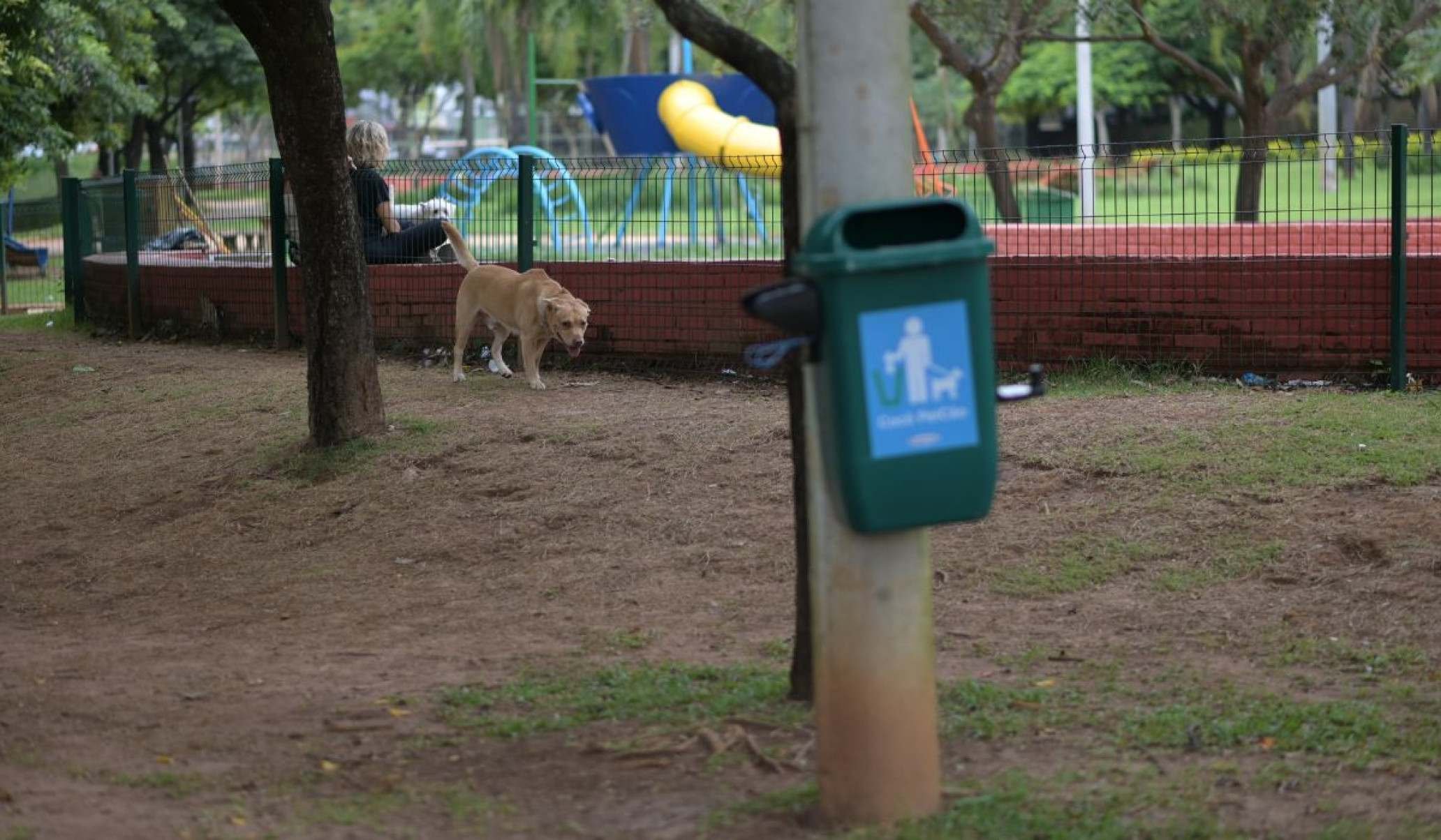 &Aacute;rea para c&atilde;es necessita de reformas 