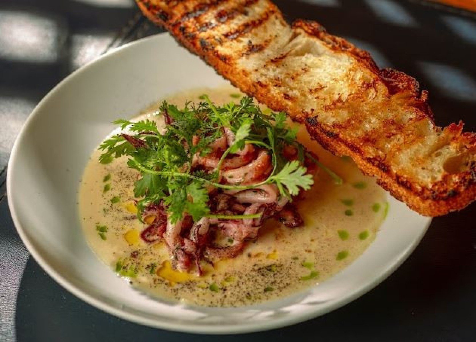 Lula à Provençal ao creme de alho confitado e flor de sal do restaurante Xerelete Restaurante-Xerelete/Divulgação