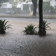 Duas regiões de BH estão sob risco de desabamento. Confira quais são - Marcos Vieira/EM/D.A Press