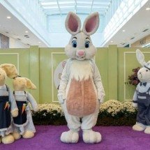 Páscoa em BH: veja programação especial para toda a família - Multiplan/DIvulga&ccedil;&atilde;o