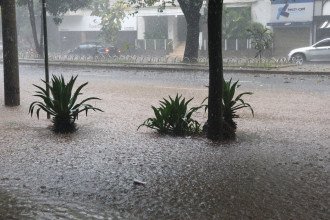 Águas de março: mês termina com índice de chuvas muito acima da média em BH