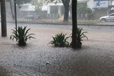 Grande volume de chuvas coloca regiões de BH sob alerta de deslizamento
       -  (crédito: Marcos Vieira/EM/D.A Press)