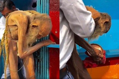 Um idoso que afirmava ter 188 anos virou lenda na web. Ele foi resgatado de uma caverna na Índia no fim de 2024 e passou a ser citado nas redes sociais.  -  (crédito: Montagem/Reprodução/Redes sociais)