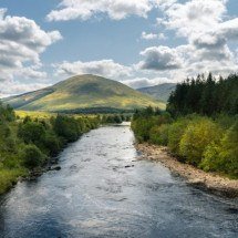Helico?pteros despejam milhares de troncos em rios americanos para devolver habitats a salmo?es - Freepik - wirestock