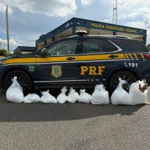 MG: acidente leva à apreensão de R$ 5 milhões em cocaína - Divulgação/Polícia Rodoviária Federal