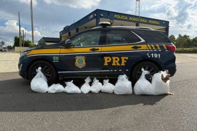 Carga de drogas foi achada em veículo acidentado na BR-381 -  (crédito: Divulgação/Polícia Rodoviária Federal)