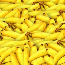Banana mais consumida do mundo enfrenta ameaça, mas ciência busca solução - Pete Linforth por Pixabay

