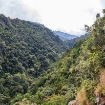 Feiúra é pouco: bichos esquisitos pelo planeta - wikimedia commons Dietmar Rabich