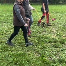 Passeio com cão imaginário vira tendência na Alemanha; conheça o ‘hobby dogging’ - Reproduc?a?o