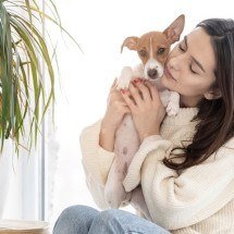 Projeto de lei que define a guarda compartilhada de pets em casos de divórcio é aprovada pelo Senado - Reprodução/Freepik