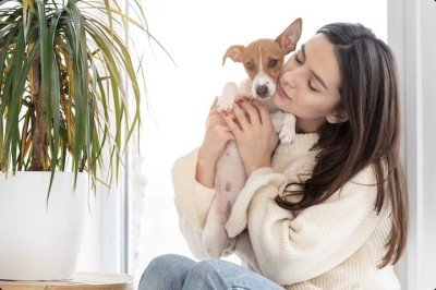 O Senado Federal aprovou um projeto de lei que autoriza a guarda compartilhada de animais de estimação entre casais em caso de separação. A proposta agora segue para a sanção do presidente Luiz Inácio Lula da Silva.  -  (crédito: Reprodução/Freepik)