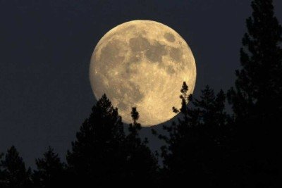 Artemis rumo à Lua: como a missão da NASA abre caminho para exploração científica e viagens a Marte -  (crédito: Portal Giro 10)