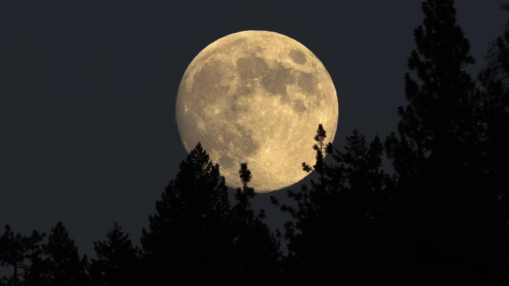 Artemis rumo à Lua: como a missão da NASA abre caminho para exploração científica e viagens a Marte - Portal Giro 10