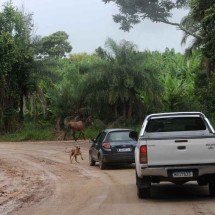 Conheça 10 destinos vizinhos a BH que desafiam motoristas e pedestres - Alexandre Guzanshe/EM/D.A Press