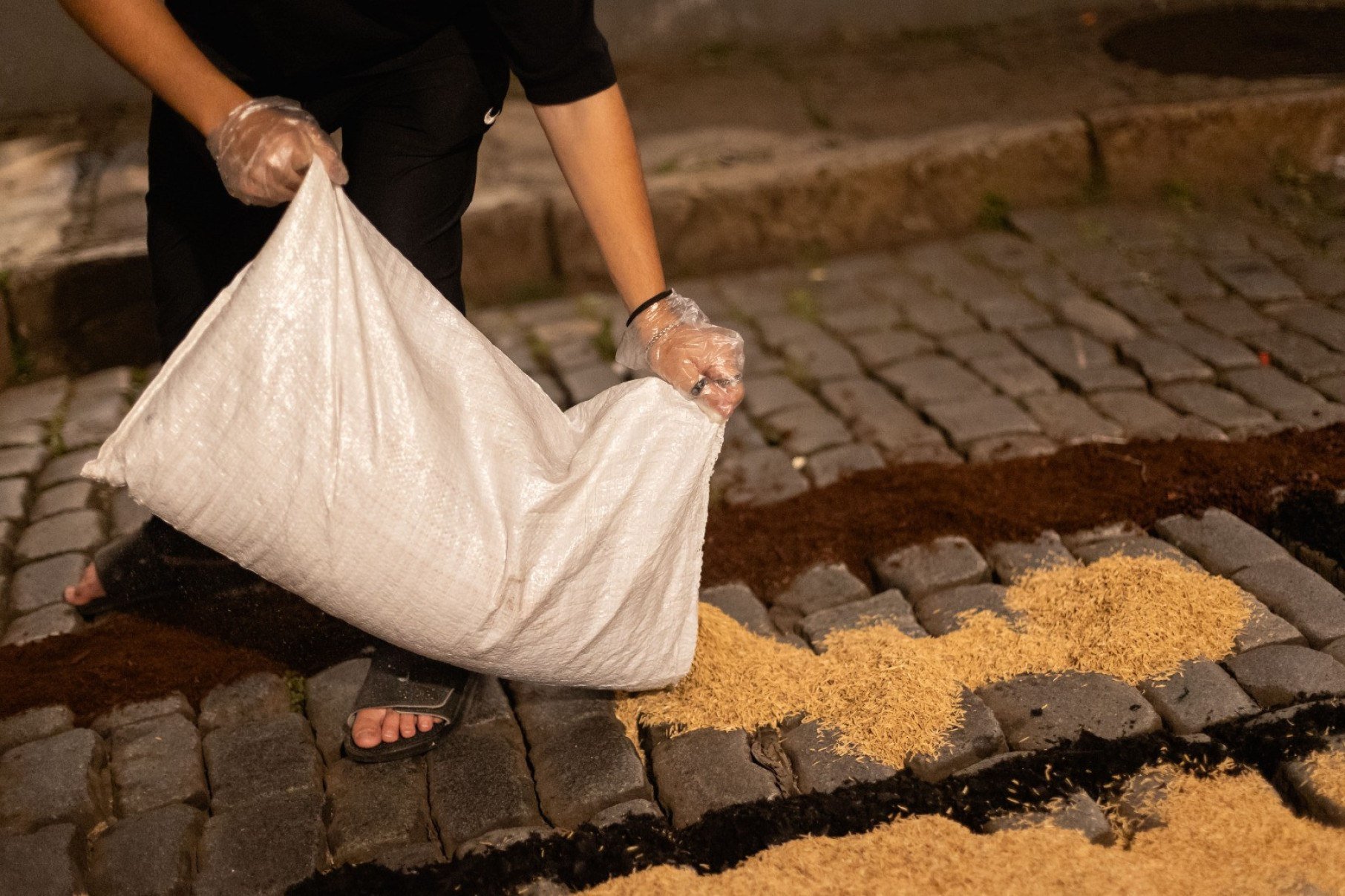 Neste ano, foram usadas 15 toneladas de serragem colorida, que se juntam a materiais (cal, pó de café e flores) para compor os desenhos-Ane Souz/Divulgação