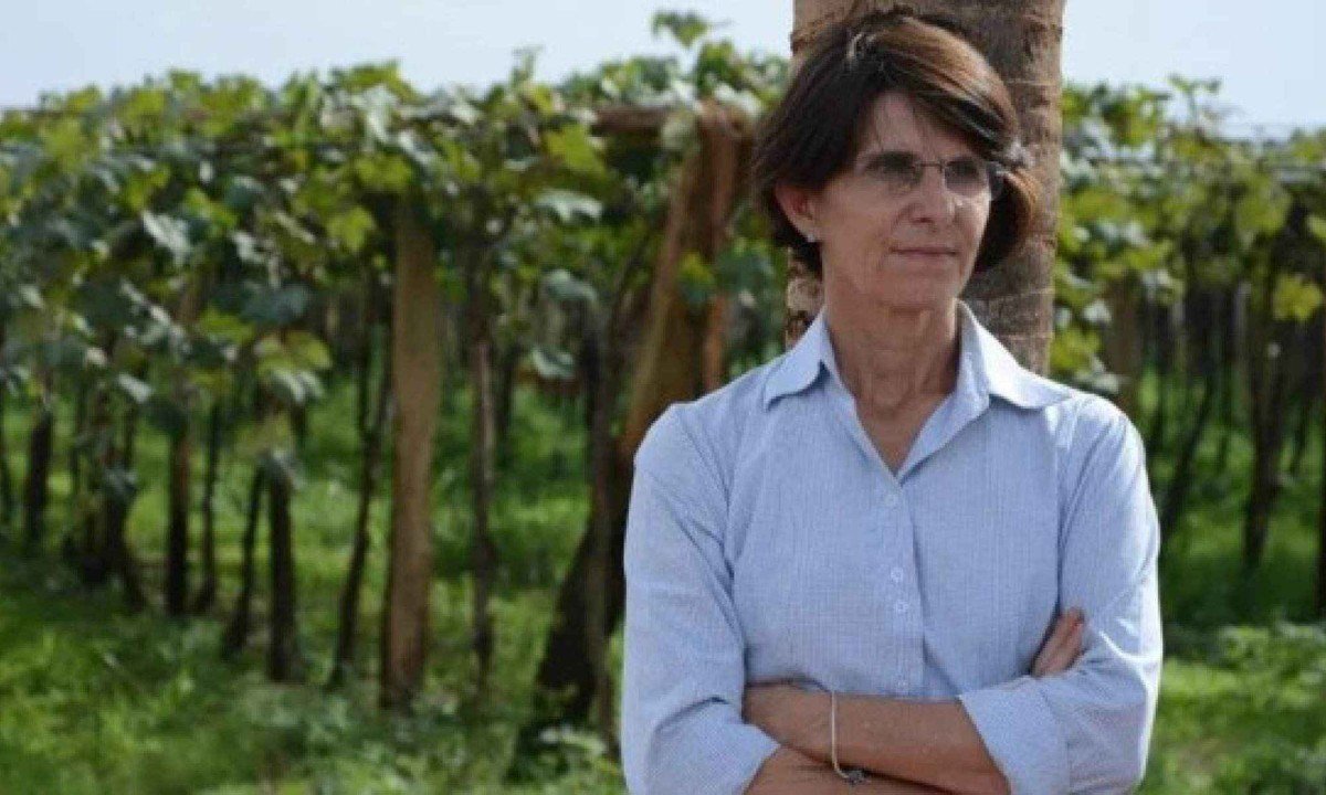 A agr&ocirc;noma Hilda Loschi revela que o setor tenta dialogar com o governo federal para sensibilizar sobre o perigo que a aprova&ccedil;&atilde;o da importa&ccedil;&atilde;o da banana do Equador pode representar para a agricultura brasileira