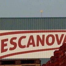 Projeto de criação da primeira fazenda de polvos do mundo gera críticas de ambientalistas; entenda - Reproduc?a?o/NBC News