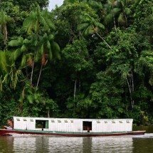 Microgerador de energia a partir de vibração é aposta ambiental na Amazônia - Pablo Porciuncula/AFP