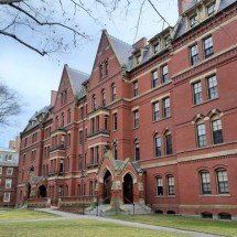 Por que Harvard é uma das melhores universidades do mundo? - Somesh Kesarla Suresh/Unsplash