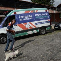 SamuVet começa a operar em BH e promete revolucionar resgate de animais - Túlio Santos/EM/D.A.Press