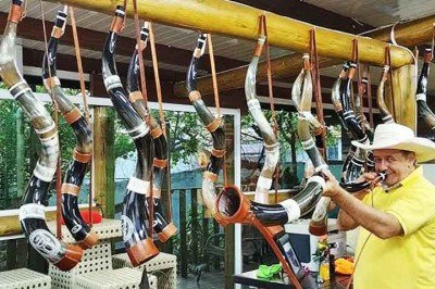 O berrante é um dos sons mais emblemáticos do interior do Brasil, ligado à rotina das comitivas de boiadeiros. Seu toque ecoa por grandes distâncias e organiza o trabalho no campo. -  (crédito:  Reprodução do Youtube)