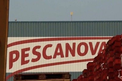 A implantaÃ§Ã£o de uma fazenda industrial de polvos nas Ilhas CanÃ¡rias, liderada pelo grupo Nueva Pescanova, tem provocado revolta de grande parte da comunidade cientÃ­fica mundial.  -  (crédito: Reproduc?a?o/NBC News)